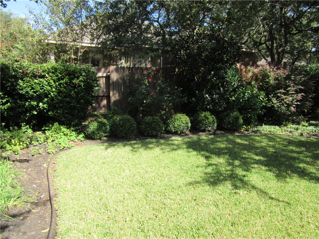 706 South Frontier Lane Cedar Park, TX 78613 - Photo 6 of 32 a view of a garden