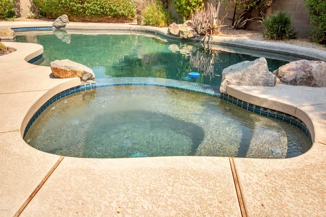 a view of a swimming pool with a yard and plants
