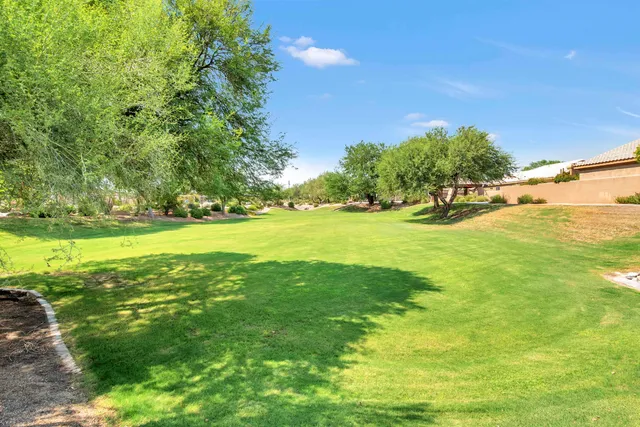 a view of a grassy field with trees