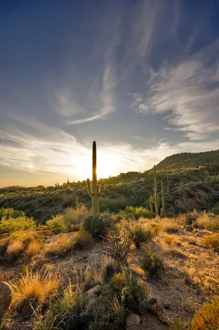 $8,000 | 7689 East Quill Lane, Scottsdale, AZ 85255