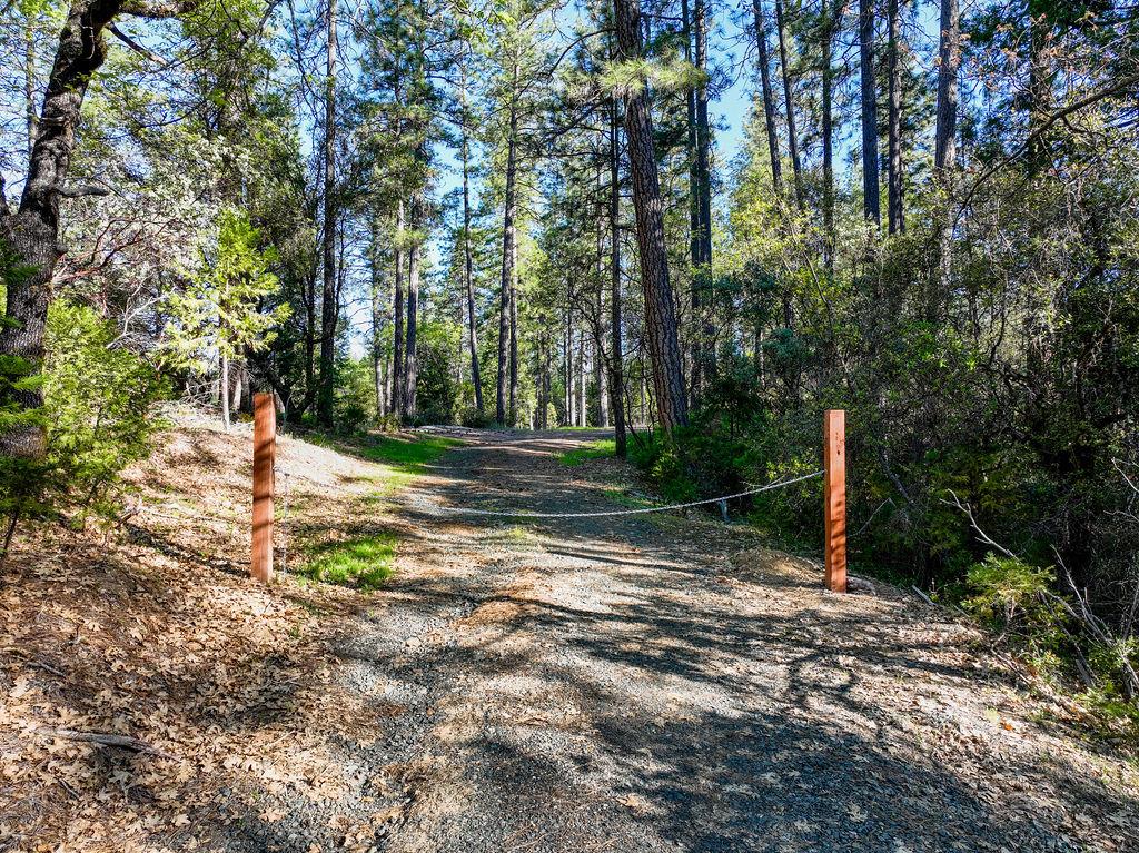 13279 Thoroughbred Loop Grass Valley, CA 95949 - Photo 30 of 33 a view of outdoor space with trees all around