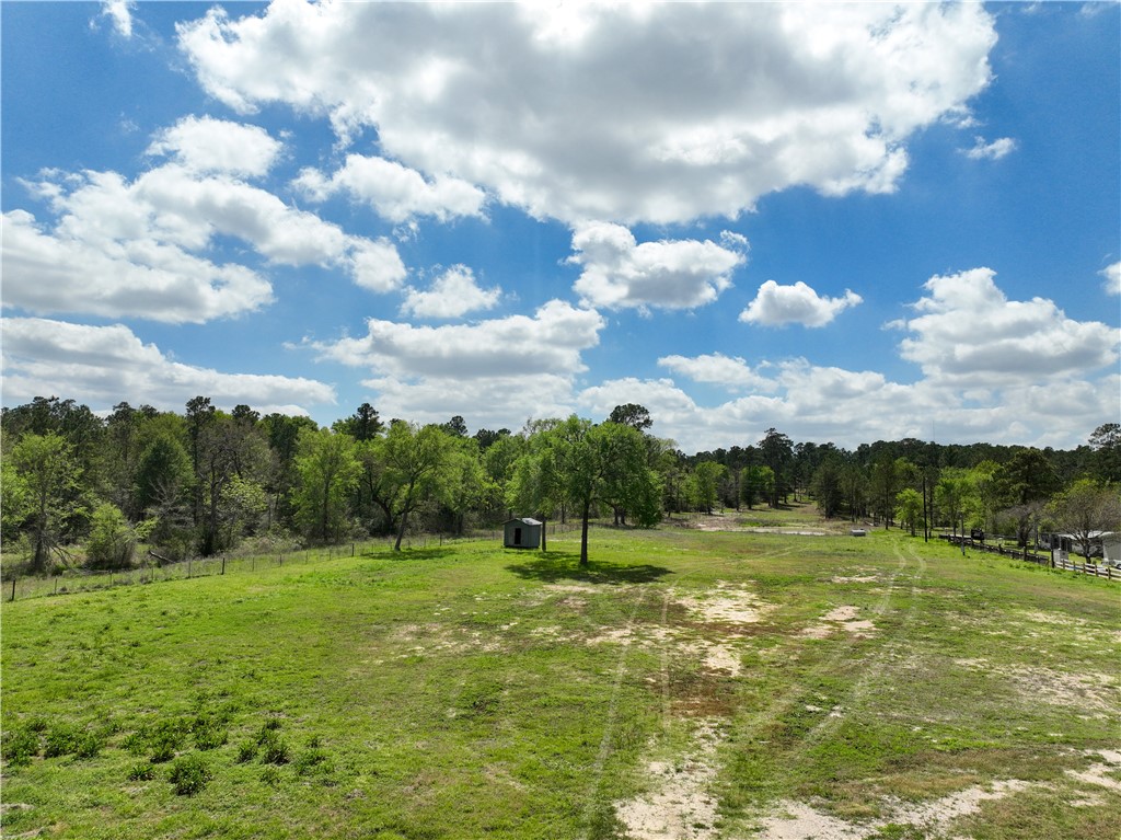 12082 State Highway 30 Anderson, TX 77830 - Photo 12 of 18