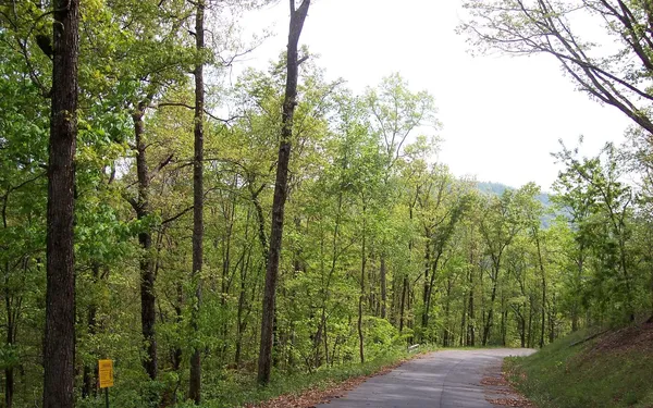 $26,585 | 24 Coyote Cove, Hayesville, NC 28904