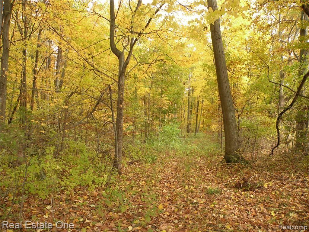 0 Mccormick Road Lapeer, MI 48446 - Photo 1 of 19