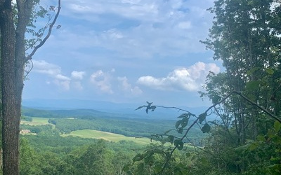 Gaults Gulch Road Talking Rock, GA 30175 - Photo 1 of 4 Main View