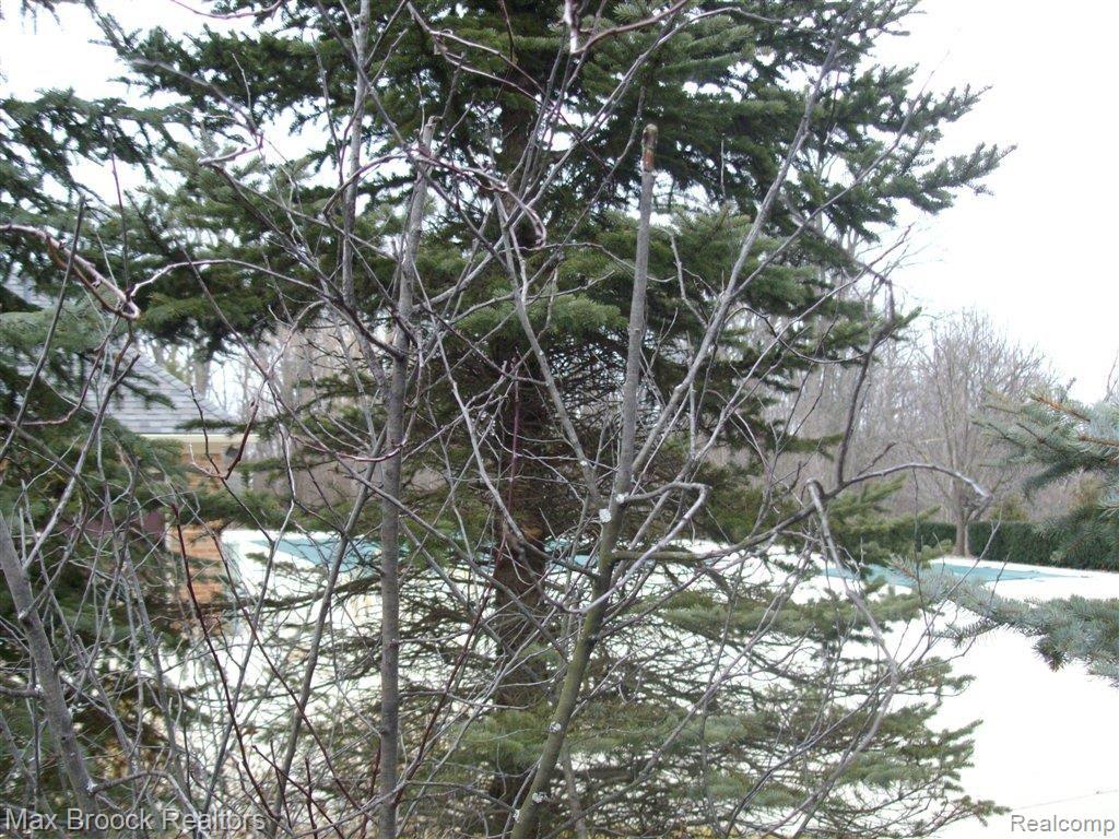 5290 Brookemonte Circle, Unit 345 Rochester, MI 48306 - Photo 21 of 21 Wooded.JPG