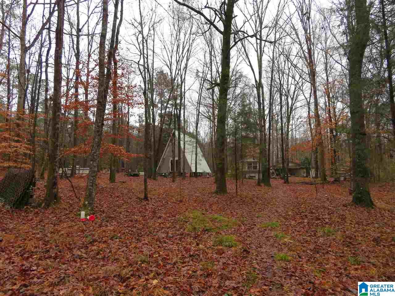 138 Cedar Grove Road West Blocton, AL 35184 - Photo 38 of 44
