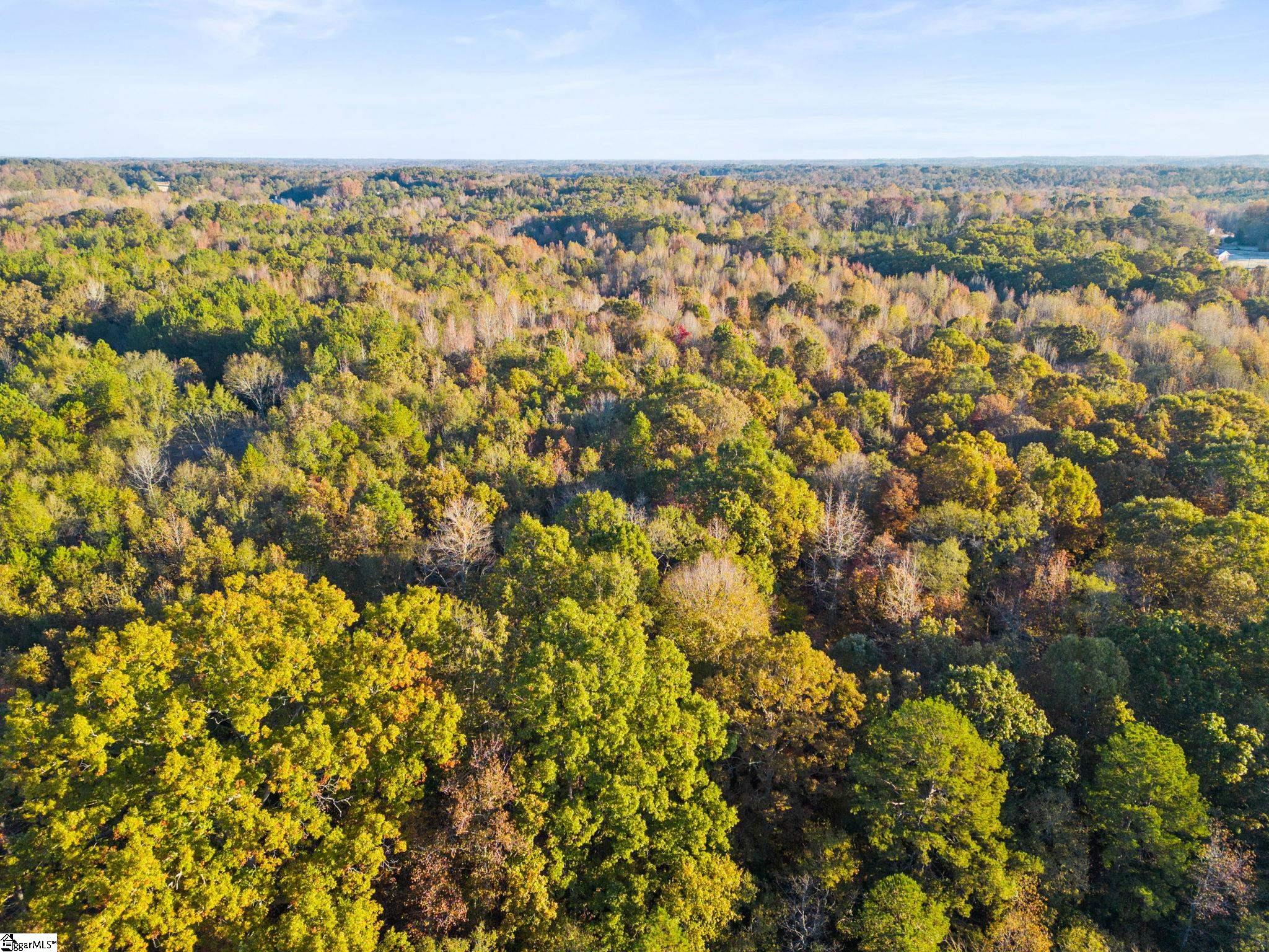 0 Penson Road Honea Path, SC 29654 - Photo 13 of 25
