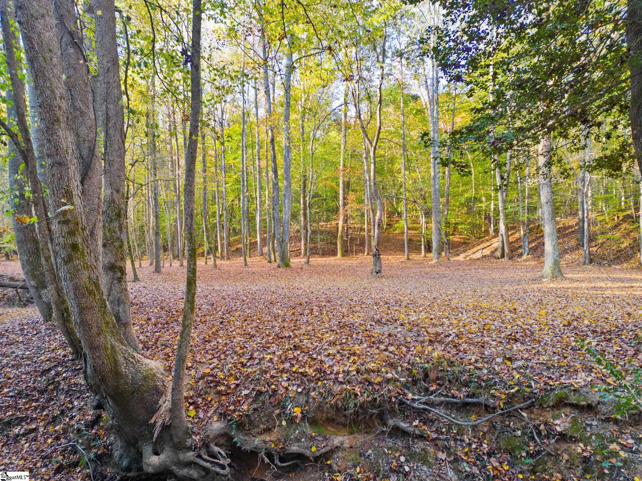 0 Penson Road Honea Path, SC 29654 - Photo 15 of 25