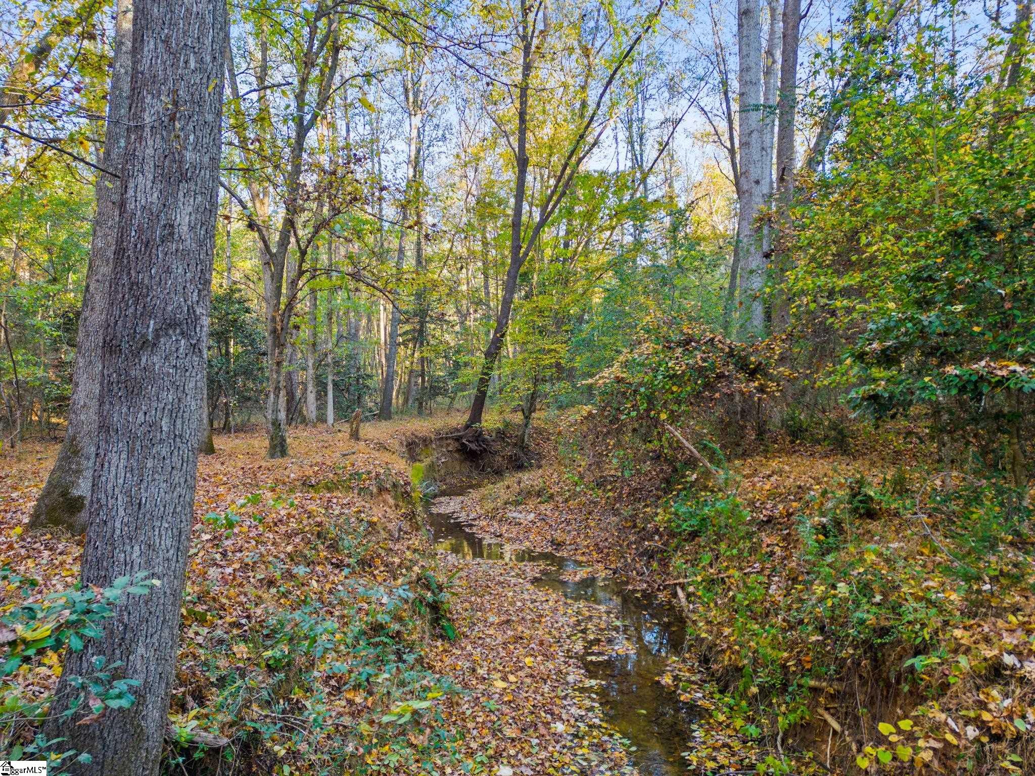 0 Penson Road Honea Path, SC 29654 - Photo 16 of 25