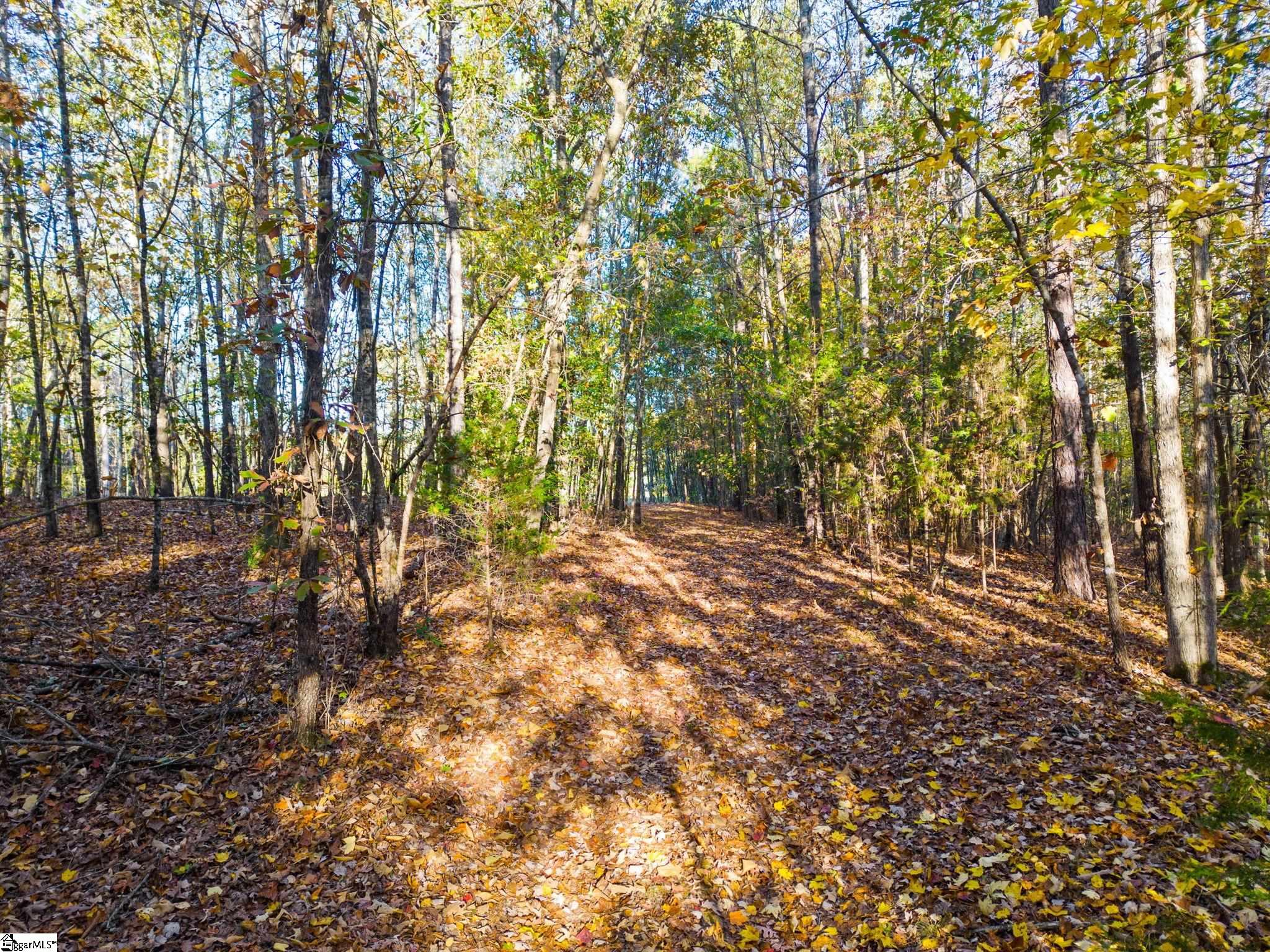 0 Penson Road Honea Path, SC 29654 - Photo 17 of 25