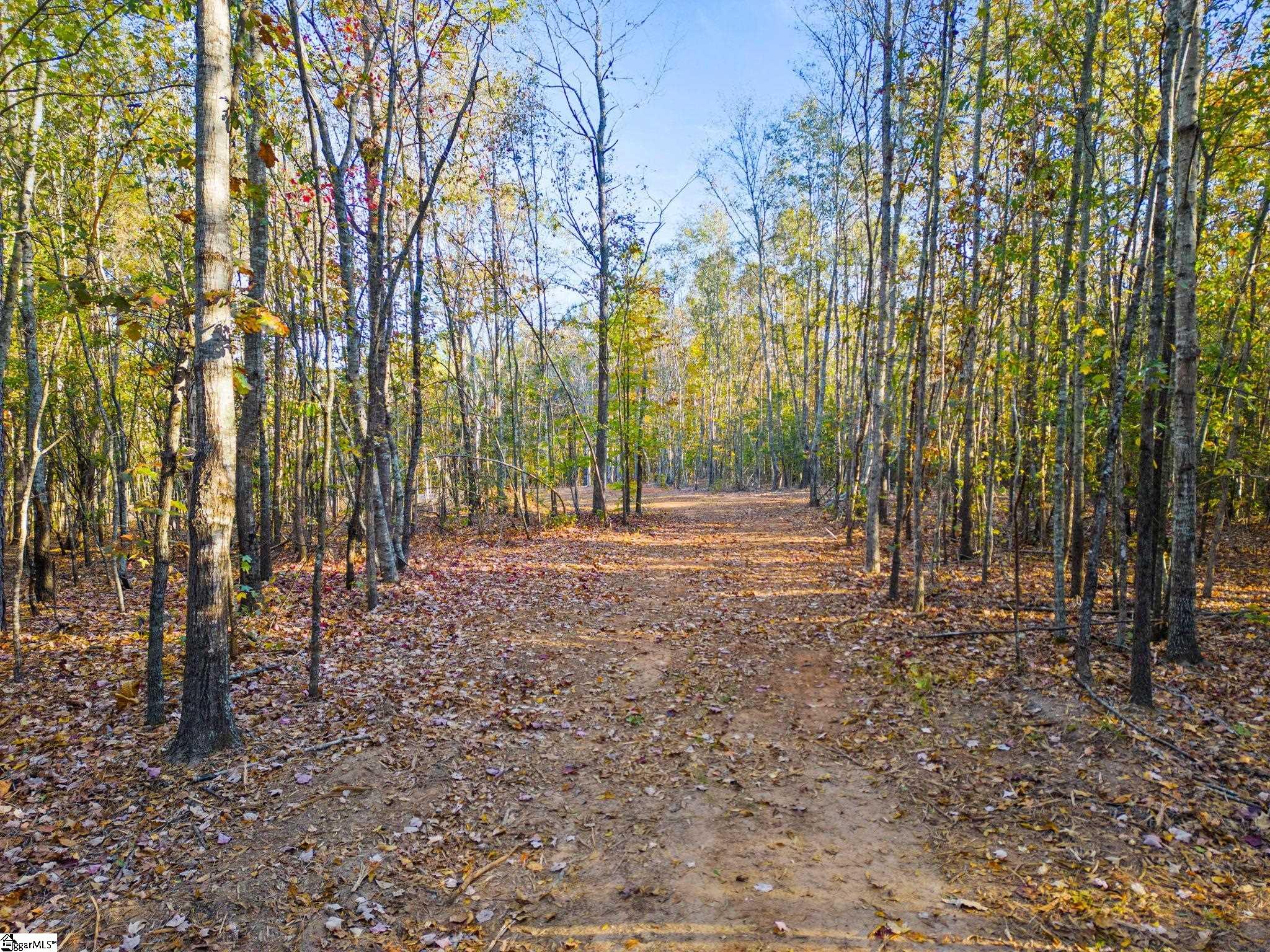 0 Penson Road Honea Path, SC 29654 - Photo 21 of 25