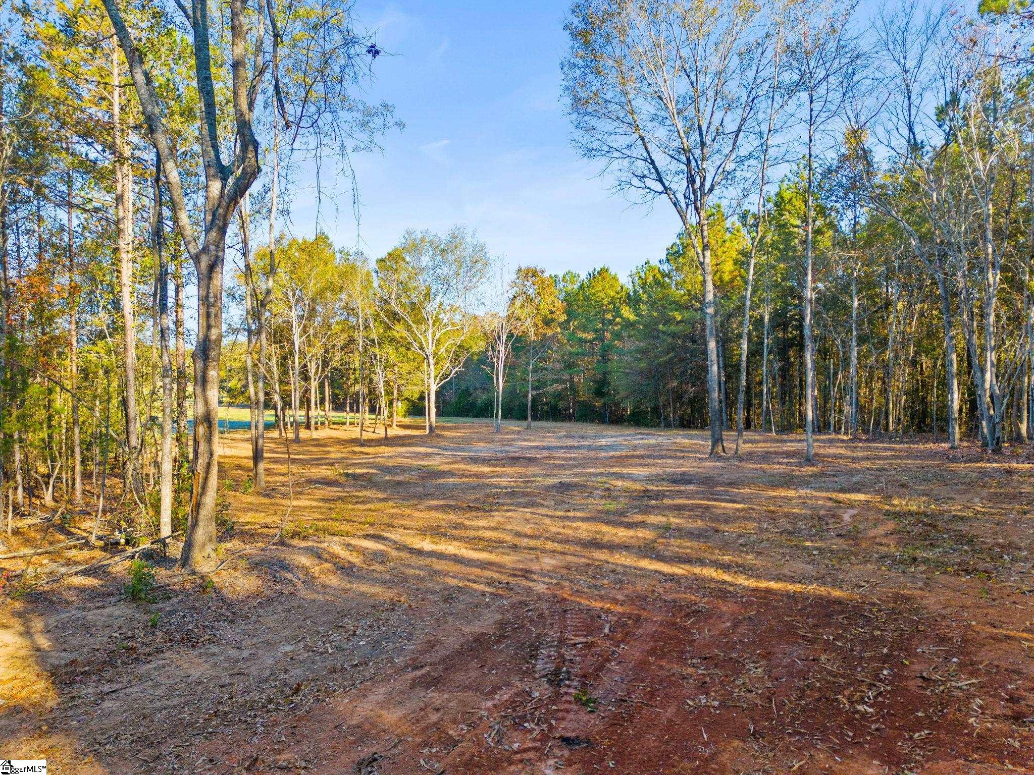 0 Penson Road Honea Path, SC 29654 - Photo 23 of 25