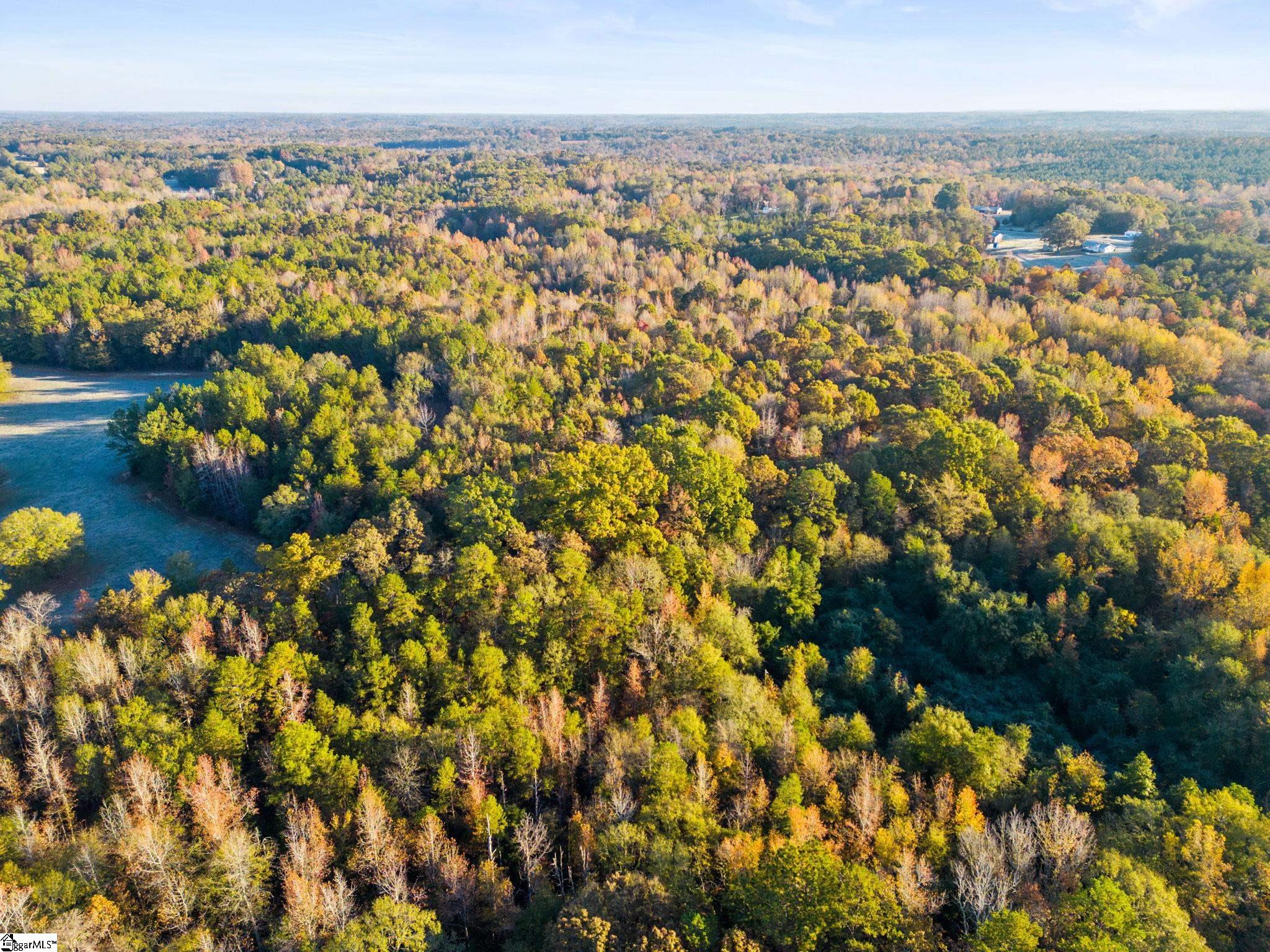 0 Penson Road Honea Path, SC 29654 - Photo 24 of 25