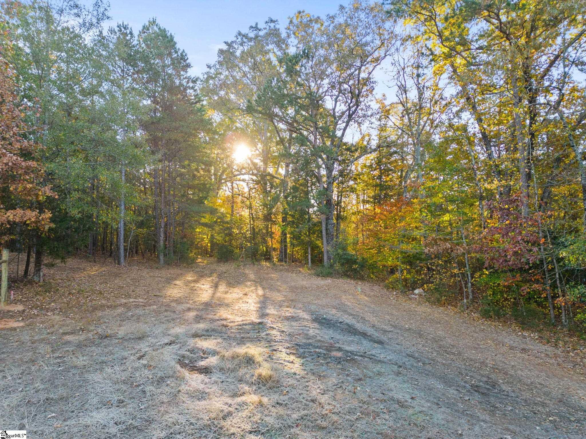 0 Penson Road Honea Path, SC 29654 - Photo 3 of 25
