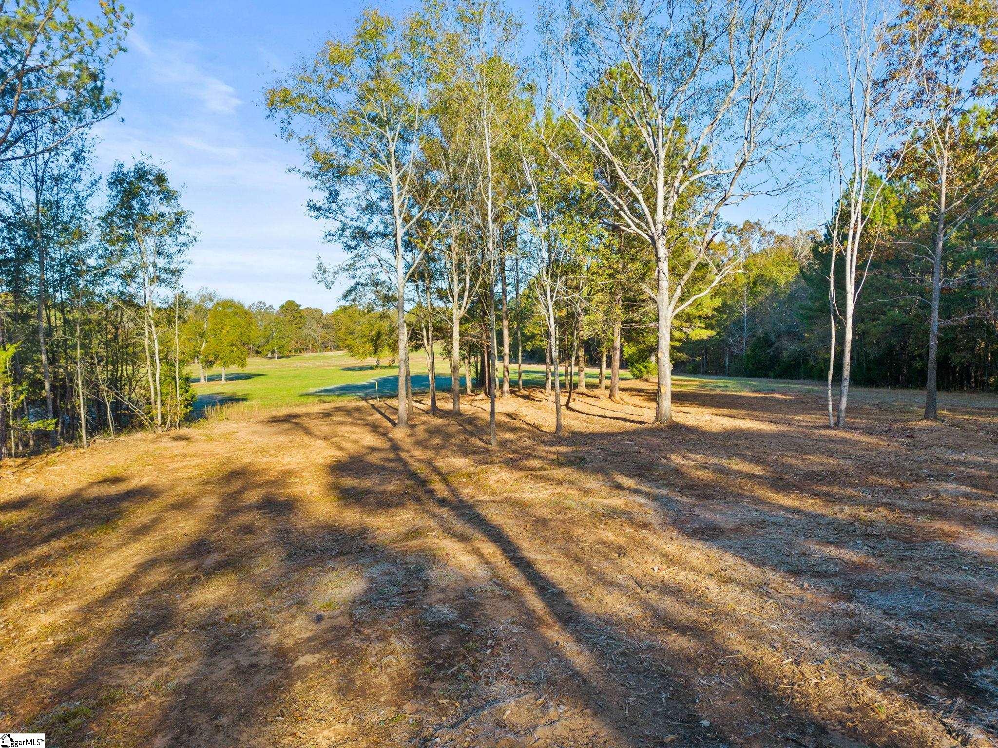 0 Penson Road Honea Path, SC 29654 - Photo 4 of 25