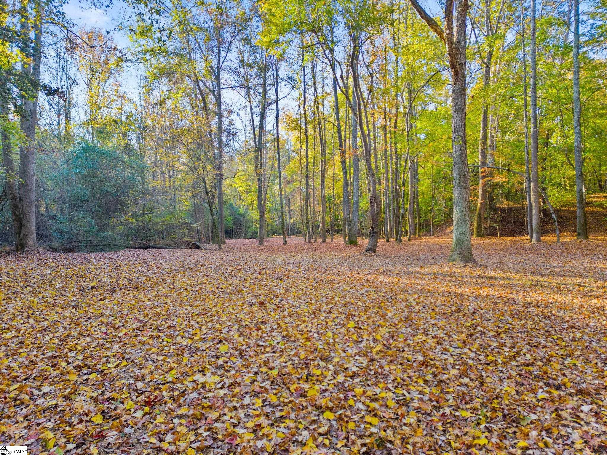 0 Penson Road Honea Path, SC 29654 - Photo 6 of 25