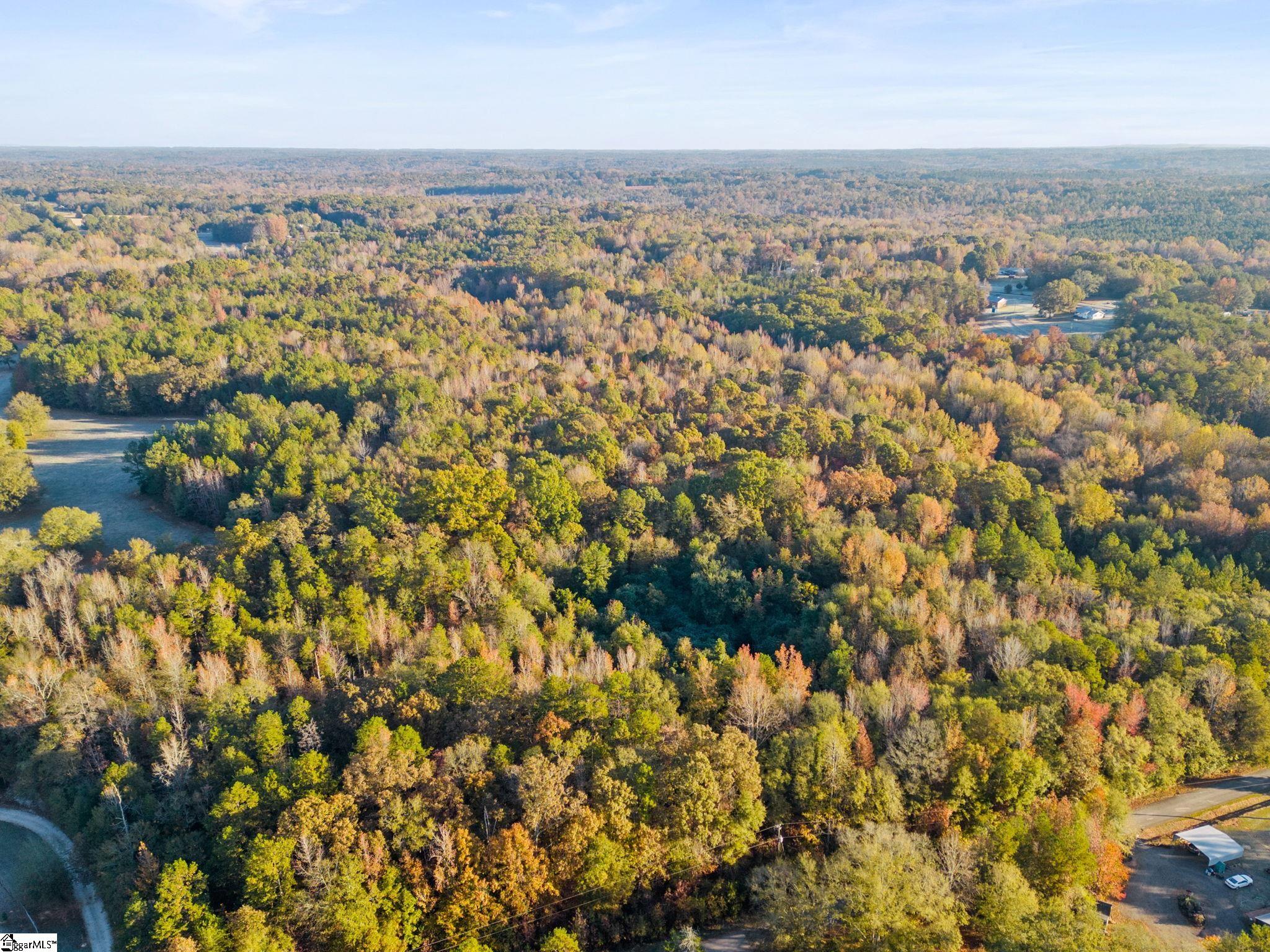 0 Penson Road Honea Path, SC 29654 - Photo 9 of 25