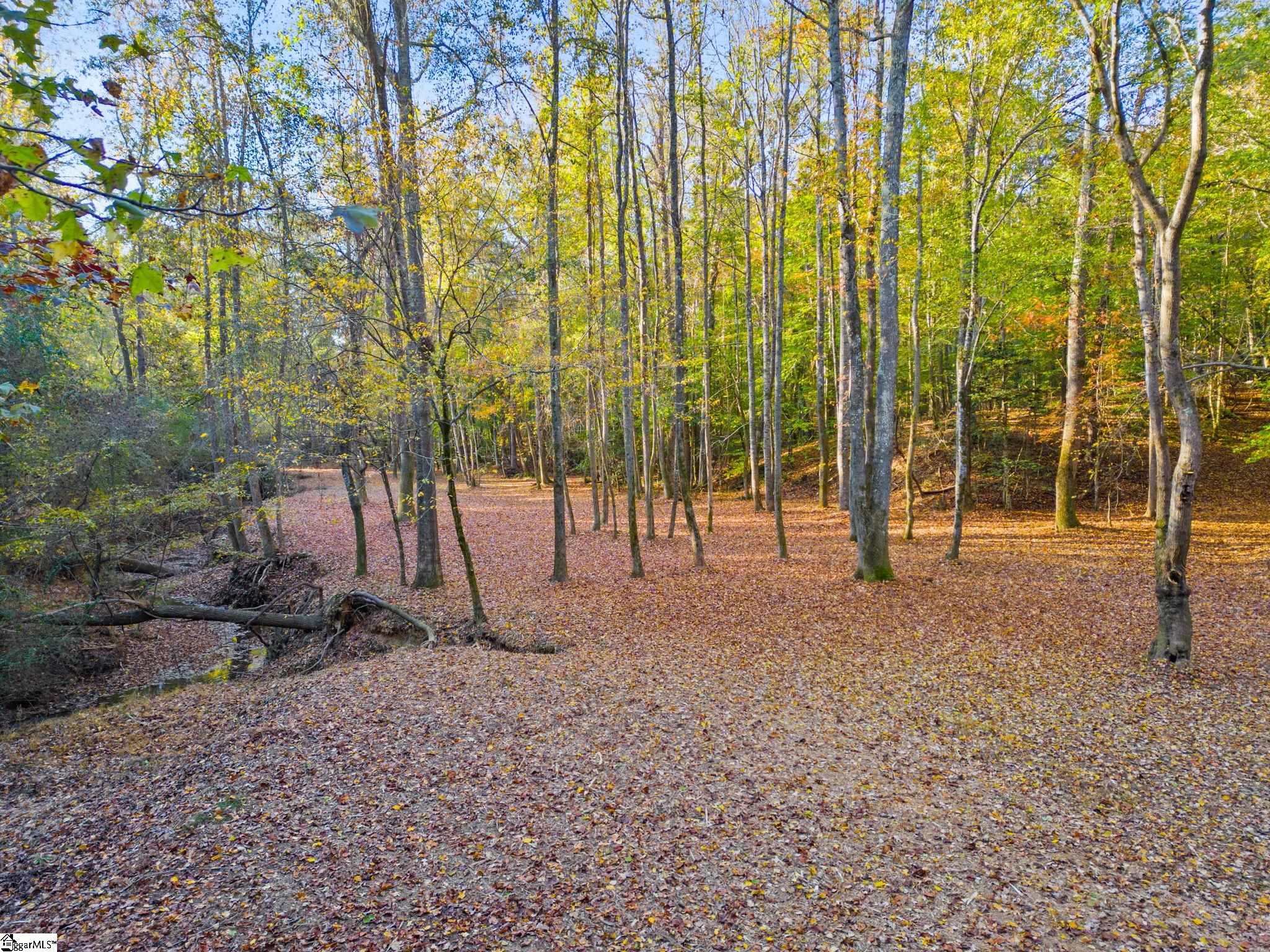 0 Penson Road Honea Path, SC 29654 - Photo 10 of 25