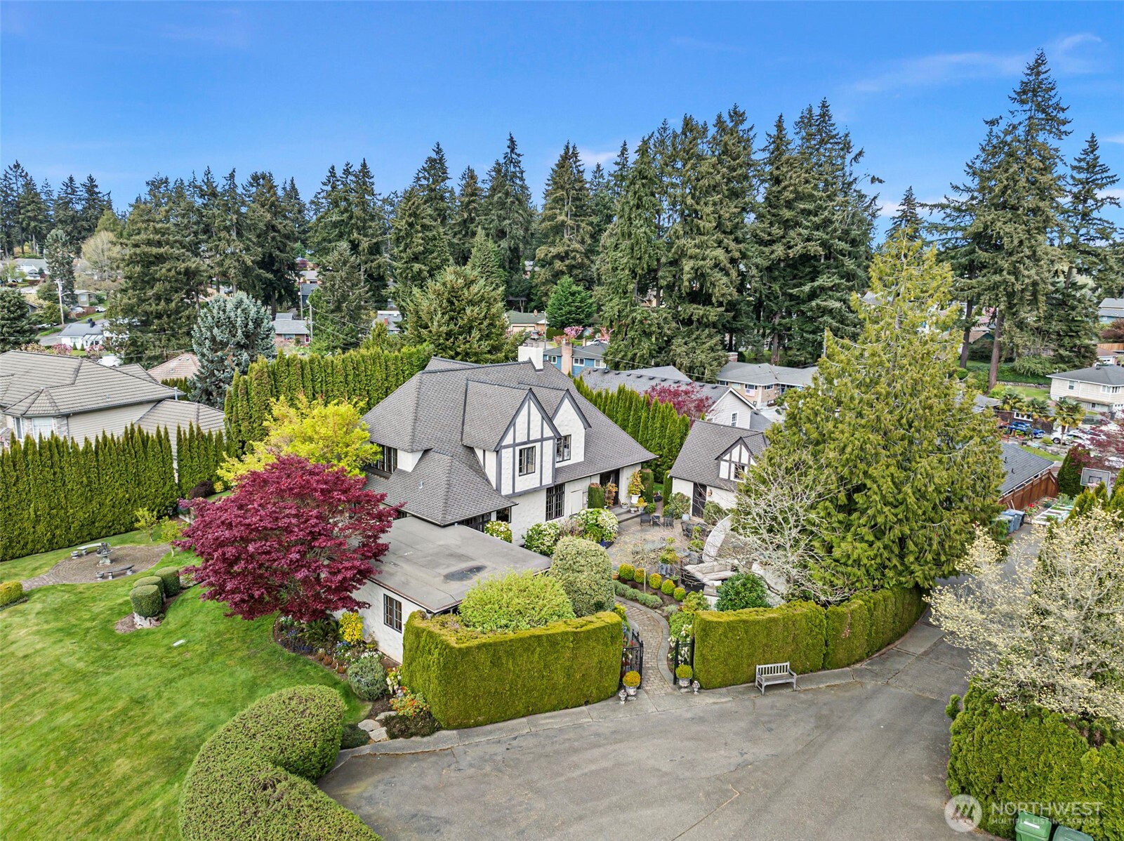 659 Alta Vista Place Fircrest, WA 98466 - Photo 35 of 40 a view of a garden with plants and large trees