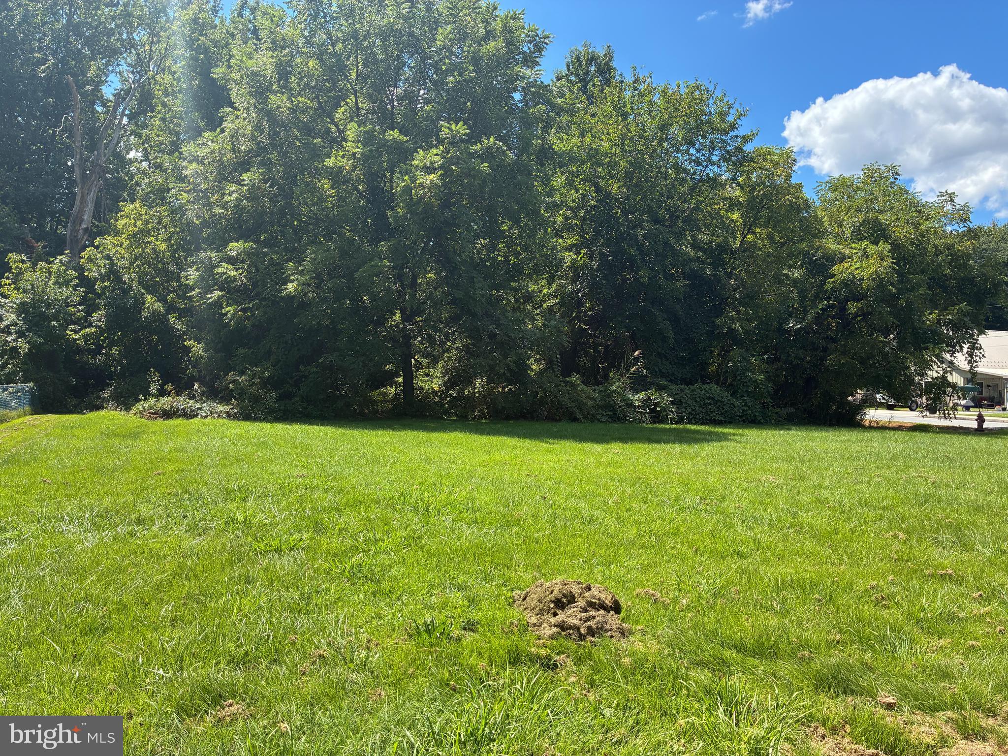 28 4th Avenue Carneys Point, NJ 08069 - Photo 2 of 7 a view of outdoor space and yard