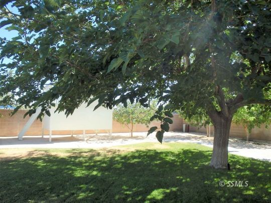 723 West Kevin Court Ridgecrest, CA 93555 - Photo 38 of 48 a view of a yard with a tree