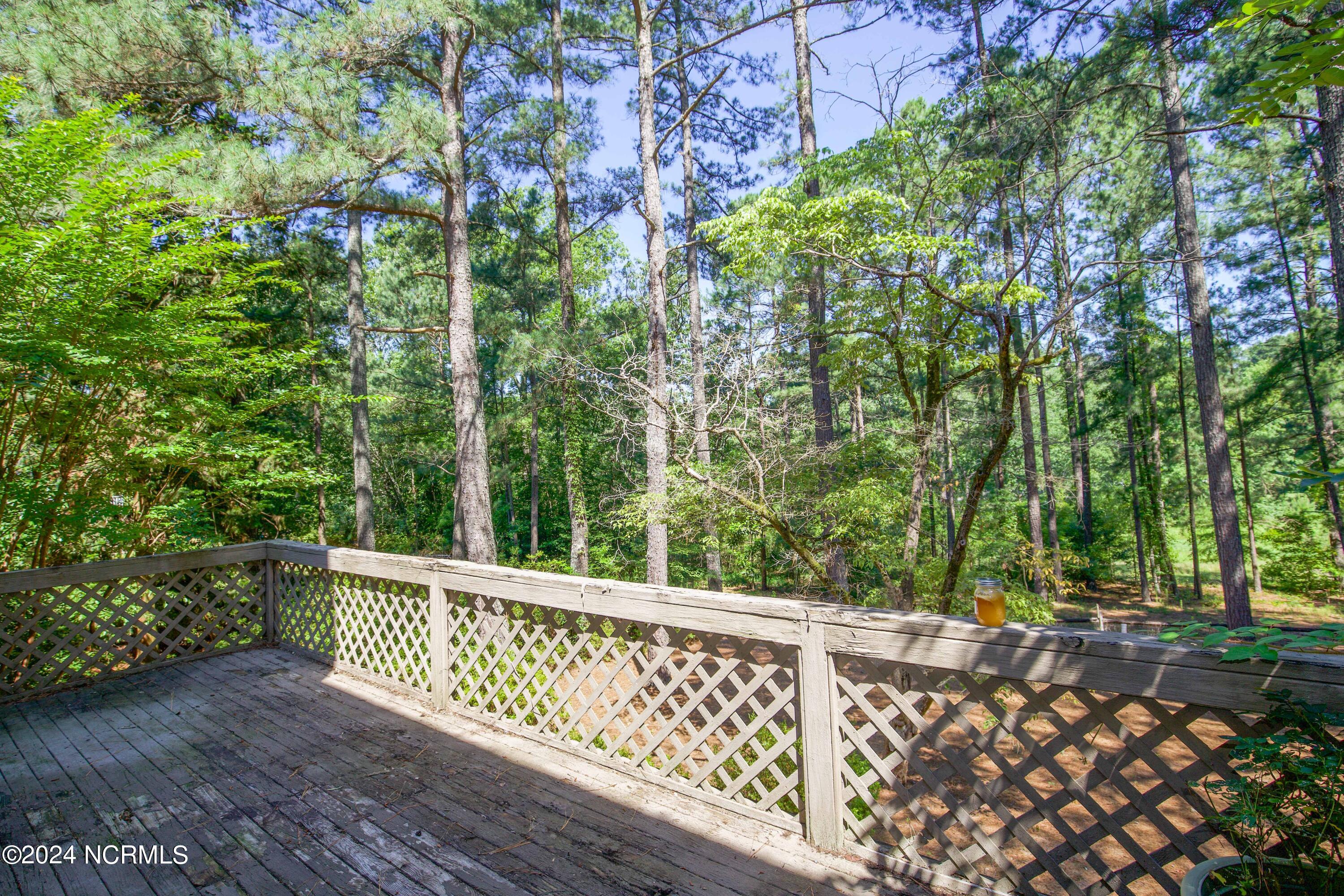 848 Barber Road Southern Pines, NC 28387 - Photo 58 of 63 848 Barber Rd-66