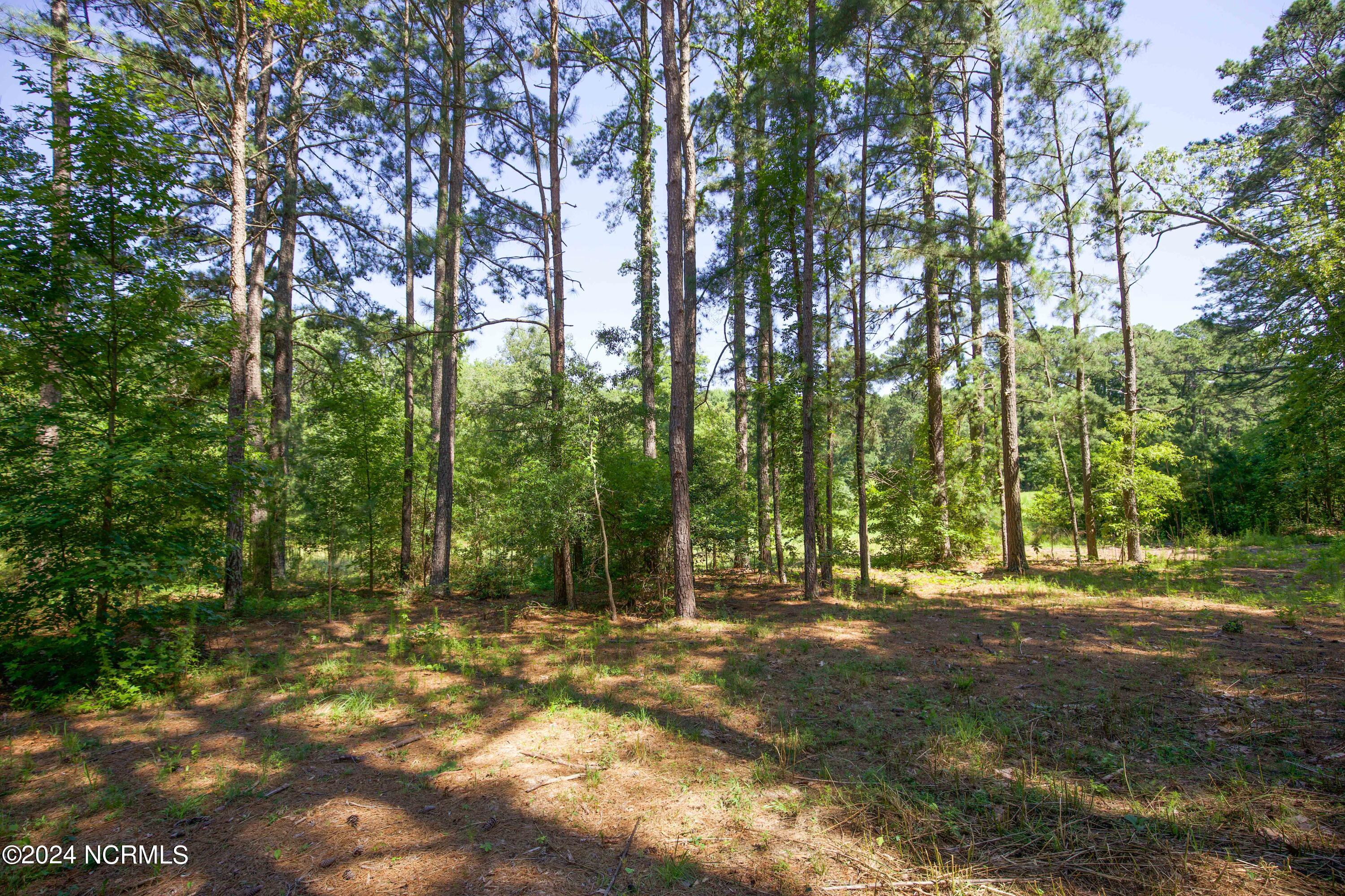 848 Barber Road Southern Pines, NC 28387 - Photo 60 of 63 848 Barber Rd-73