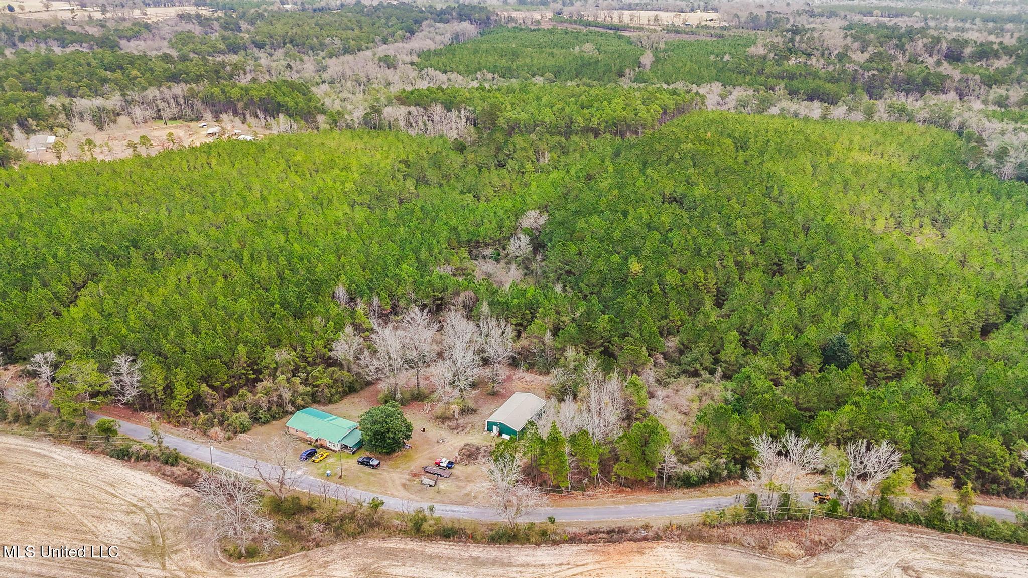 63n & Fork Road Lucedale, MS 39452 - Photo 5 of 18 005