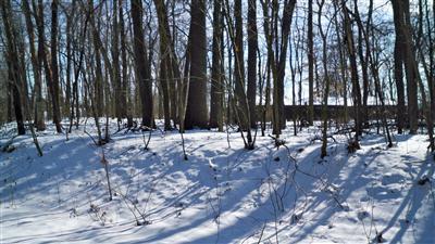 80866 Garrett Drive Decatur, MI 49045 - Photo 1 of 1 Primary Photo