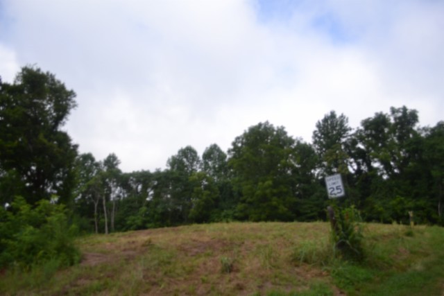 0 Pea Ridge Fire Tower Road Celina, TN 38551 - Photo 24 of 59