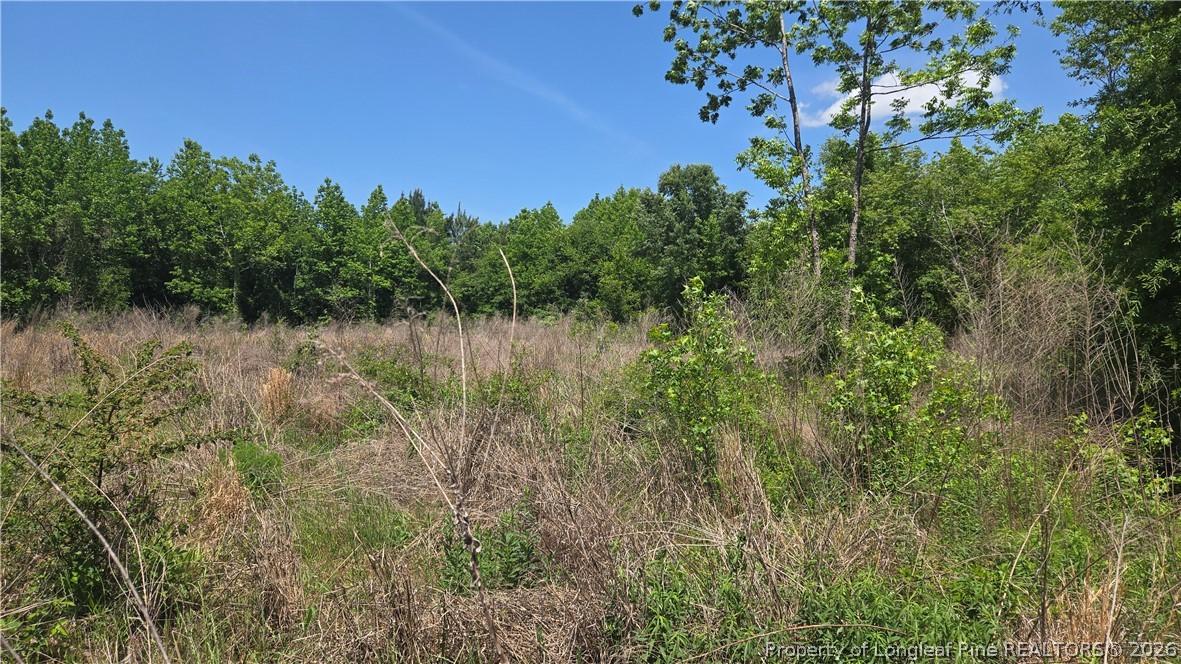 1634 Sweetie Road Fayetteville, NC 28312 - Photo 17 of 26