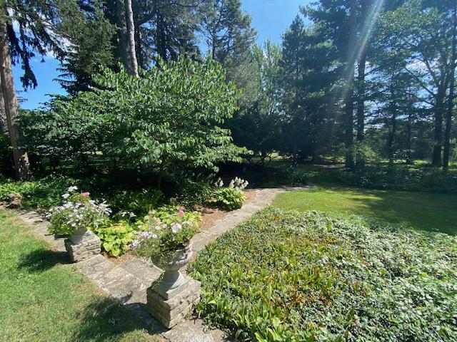 5737 Clymer Road Coloma, MI 49038 - Photo 12 of 50 IMG_3700