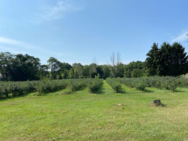 5737 Clymer Road Coloma, MI 49038 - Photo 17 of 50 IMG_3654