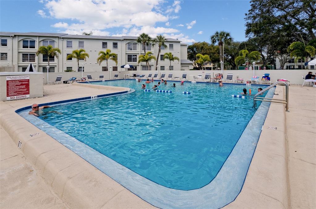 2700 Bayshore Boulevard, Unit 1302 Dunedin, FL 34698 - Photo 32 of 40 swimming pool view with a garden space