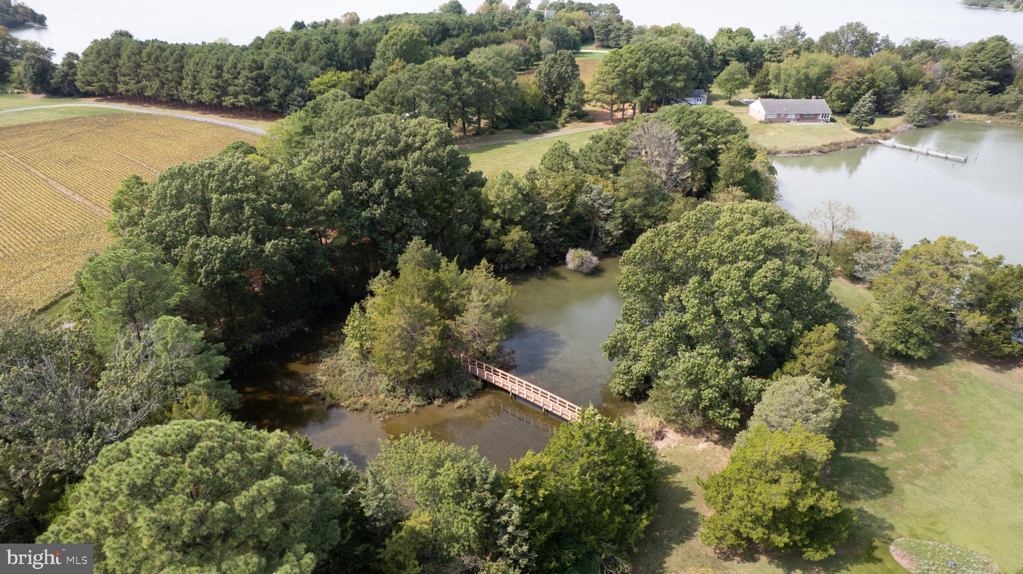 5499 Anderby Hall Road Royal Oak, MD 21662 - Photo 74 of 87 aerial view of tidal pond & bridge