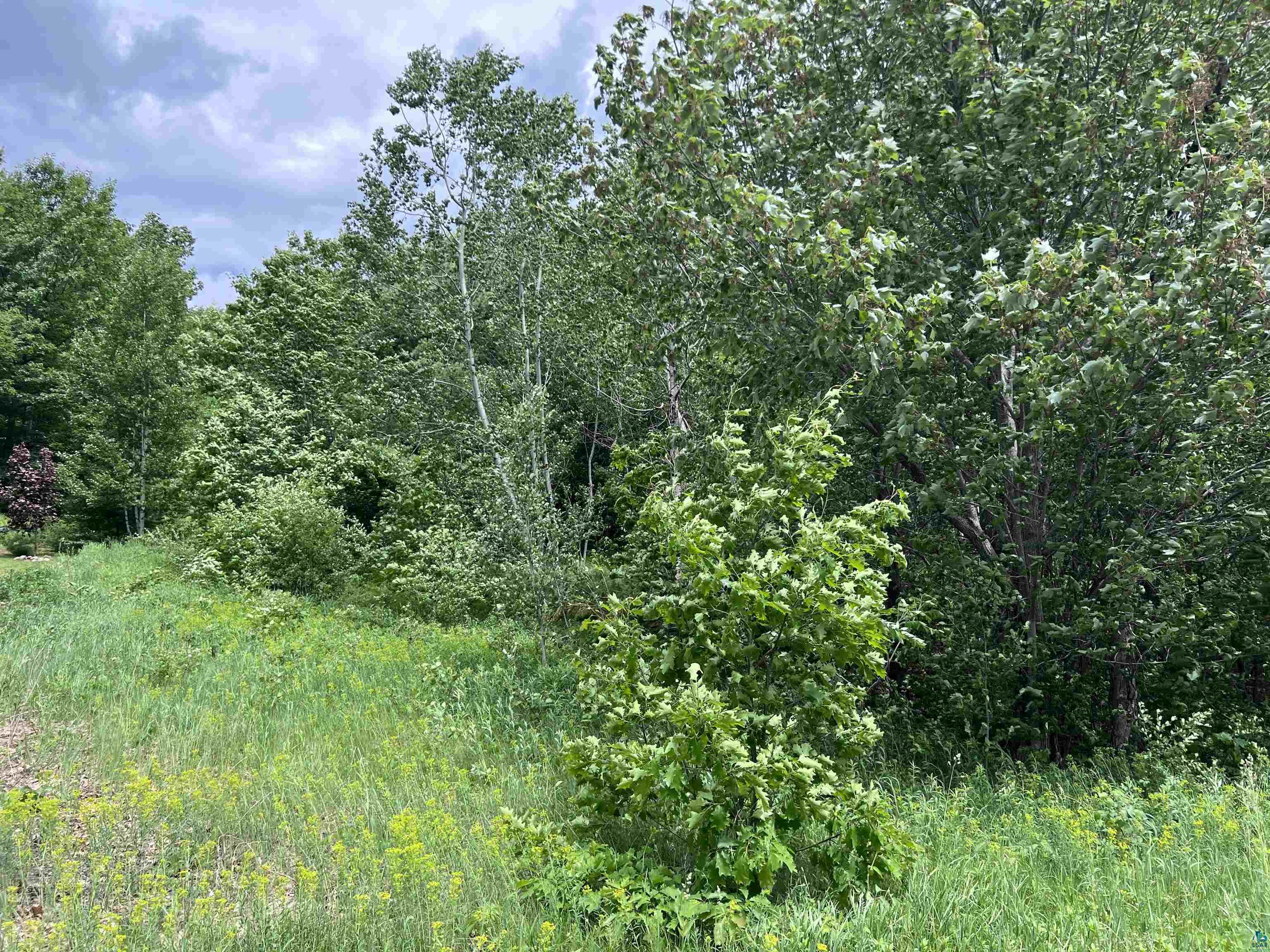 Xxx Rice Avenue Bayfield, WI 54814 - Photo 10 of 11