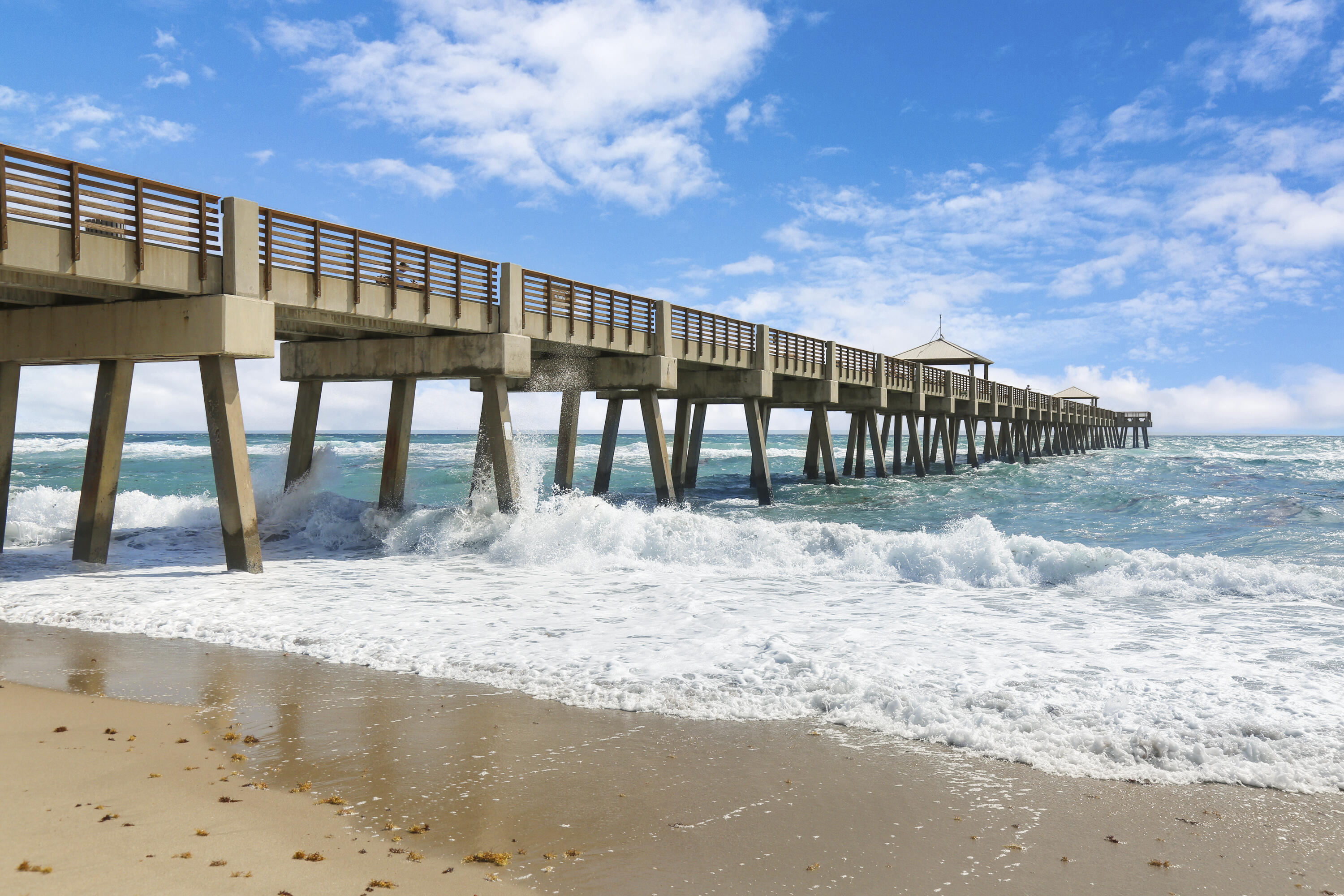 10182 Southeast Acorn Way Jupiter, FL 33469 - Photo 55 of 56 Juno Beach Pier
