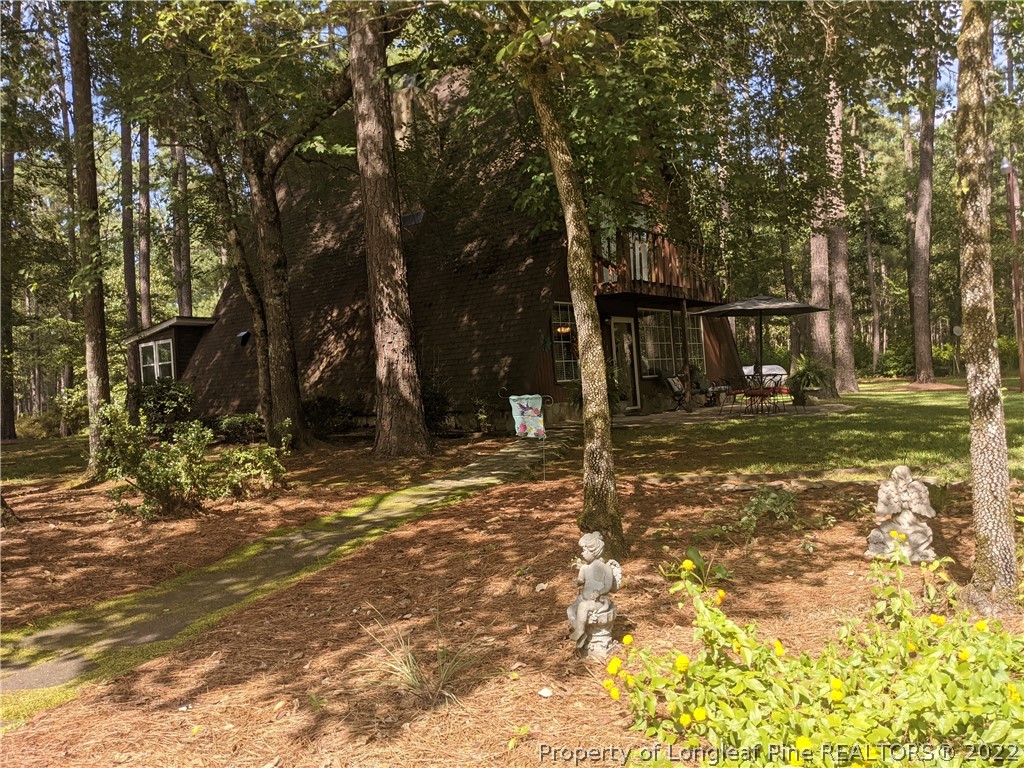 375 Dougald Road Vass, NC 28394 - Photo 3 of 5 Gallery Image 3
