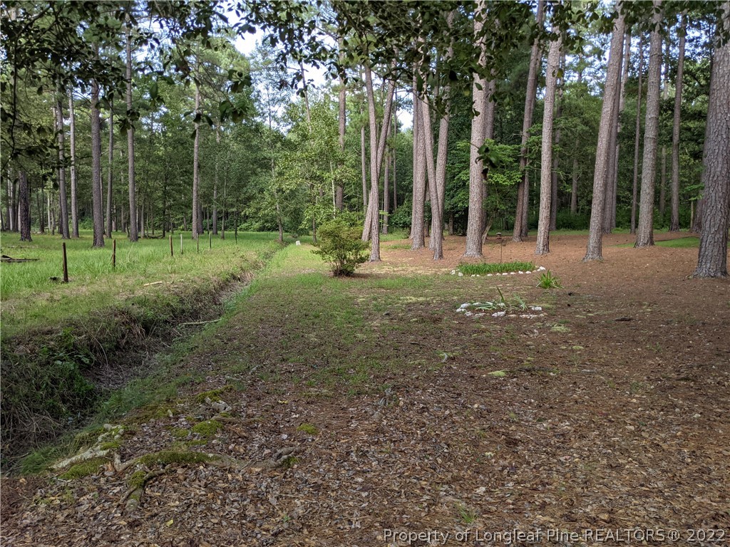 375 Dougald Road Vass, NC 28394 - Photo 5 of 5 Gallery Image 5