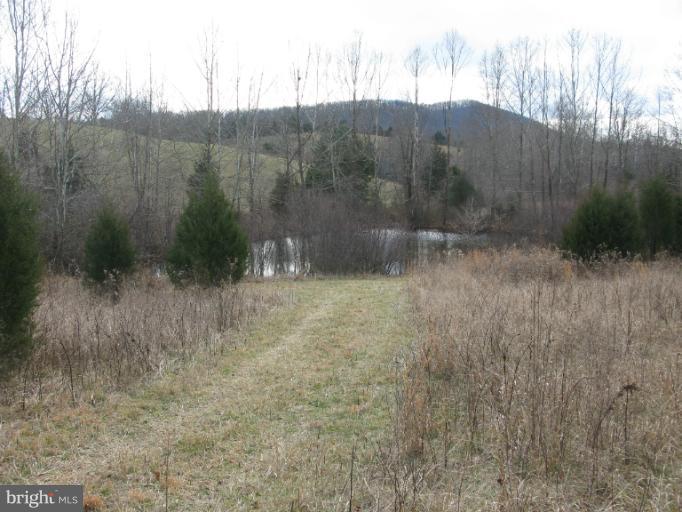 Castle Mountain Road Castleton, VA 22716 - Photo 11 of 16 View
