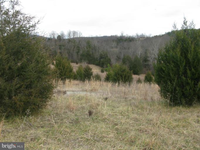 Castle Mountain Road Castleton, VA 22716 - Photo 15 of 16 View