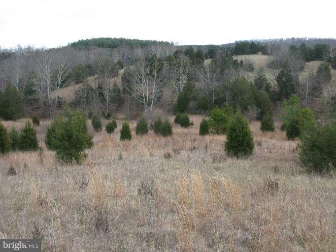 Castle Mountain Road Castleton, VA 22716 - Photo 5 of 16 View