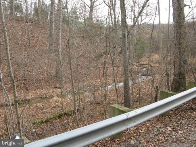 Castle Mountain Road Castleton, VA 22716 - Photo 9 of 16 View