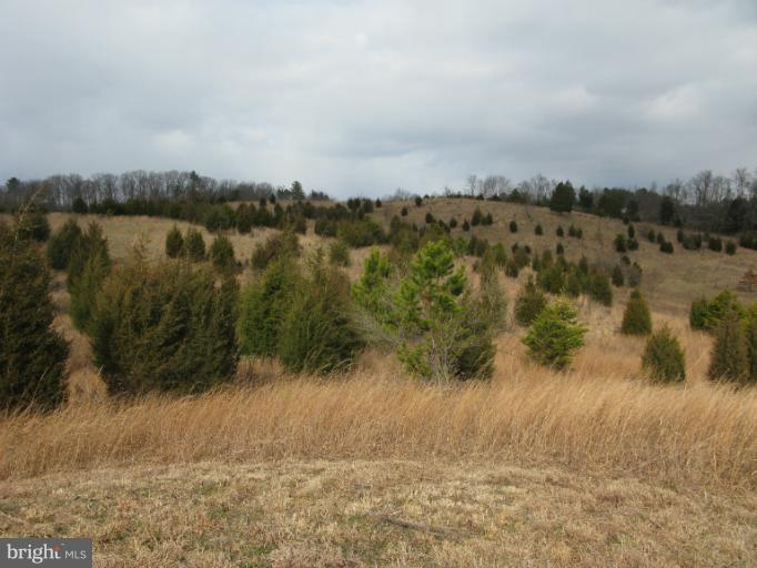 Castle Mountain Road Castleton, VA 22716 - Photo 10 of 16 View