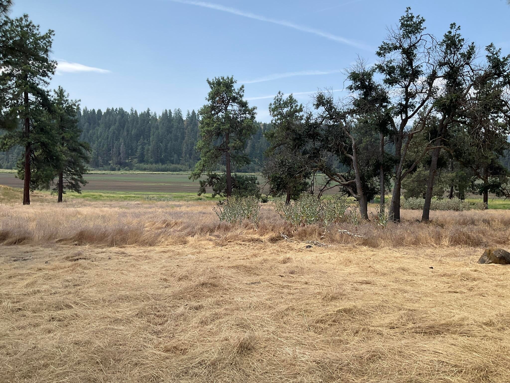 Mergansser Road Klamath Falls, OR 97601 - Photo 5 of 8 The Perfect Back Yard!
