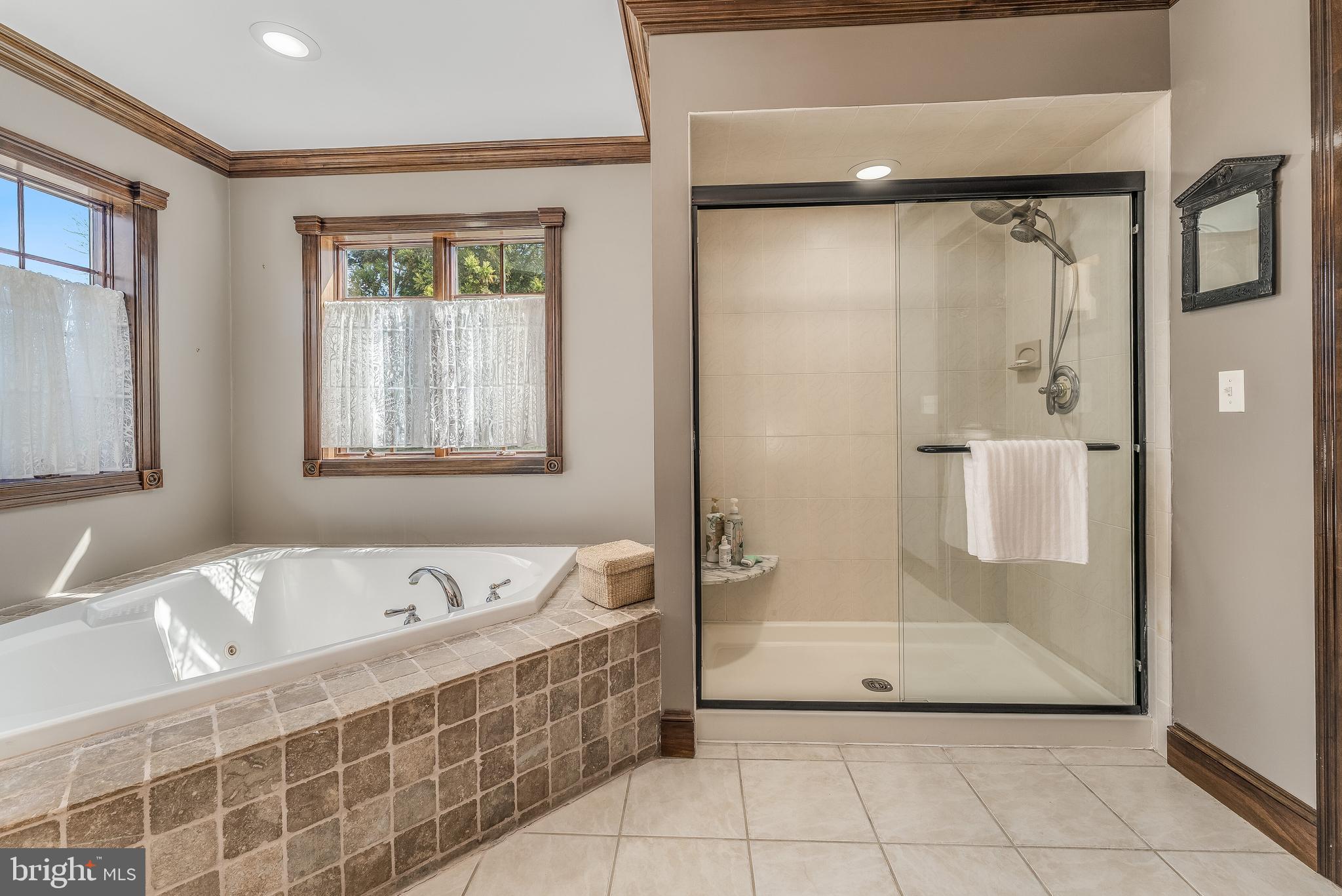 27 Milestone Drive Ringoes, NJ 08551 - Photo 34 of 75 a bathroom with a bathtub and a shower