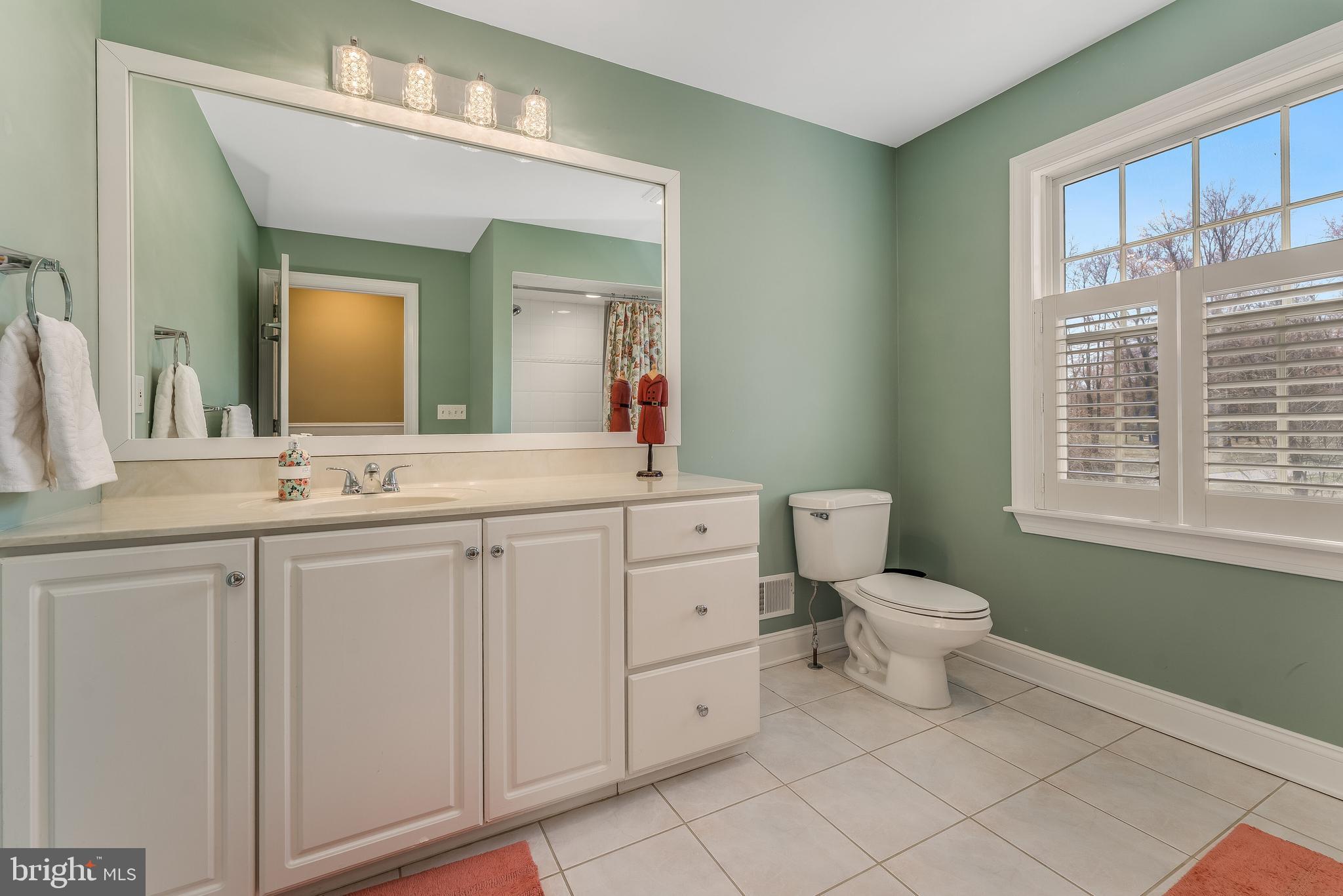 27 Milestone Drive Ringoes, NJ 08551 - Photo 41 of 75 a bathroom with a toilet a sink a vanity and mirror