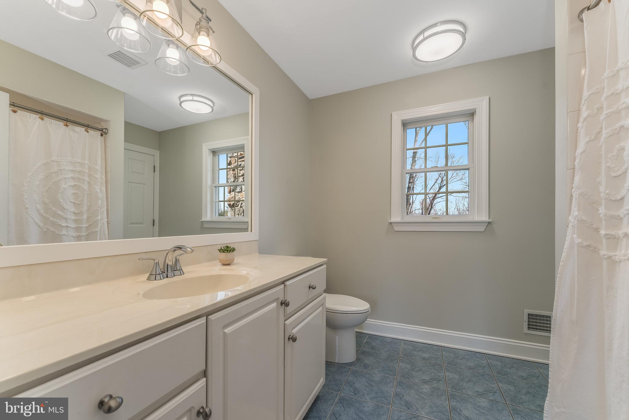 27 Milestone Drive Ringoes, NJ 08551 - Photo 42 of 75 2nd floor Full Bath