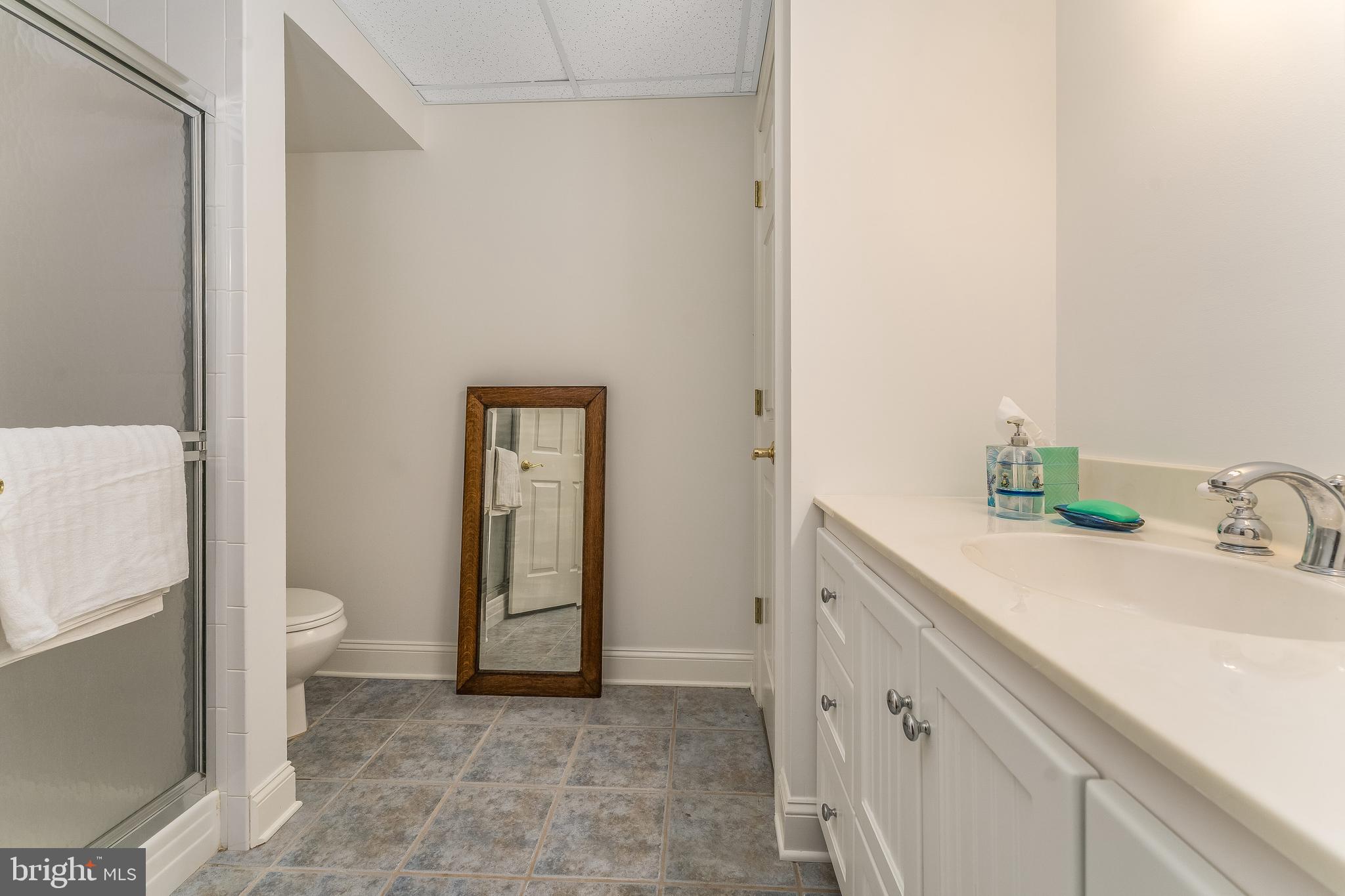 27 Milestone Drive Ringoes, NJ 08551 - Photo 54 of 75 a bathroom with a sink and a toilet